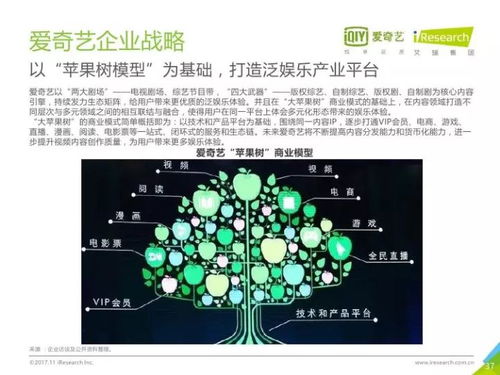 2017年中國(guó)網(wǎng)絡(luò)自制內(nèi)容行業(yè)研究報(bào)告 數(shù)字內(nèi)容制作服務(wù)的崛起與變革